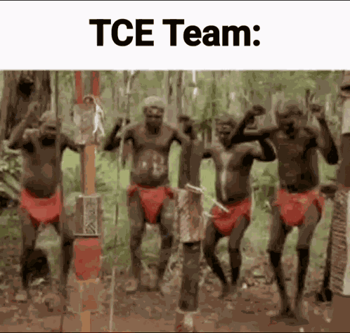 Tce Roblox GIF