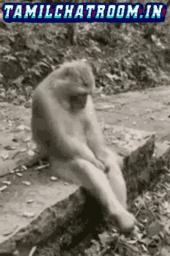 Tcr Sad GIF