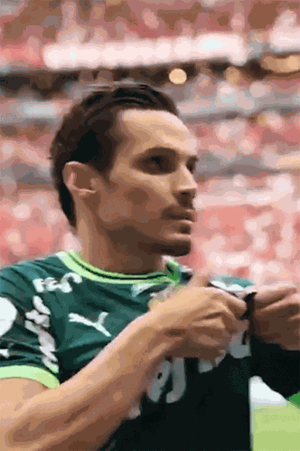 Te Amo Palmeiras Palmeirense GIF