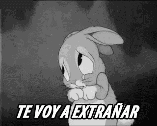 Te Voy A Extrañar GIF