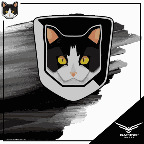 Team Choroguin Tcwin GIF