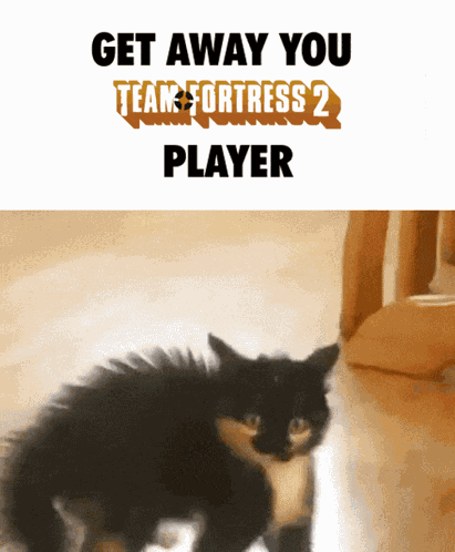 Team Fortress 2 Tf2 GIF