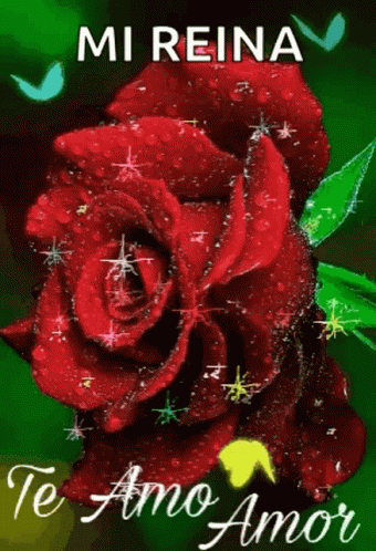 Teamo Amor GIF