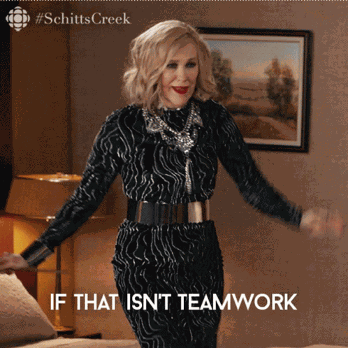 Teamwork Moira GIF