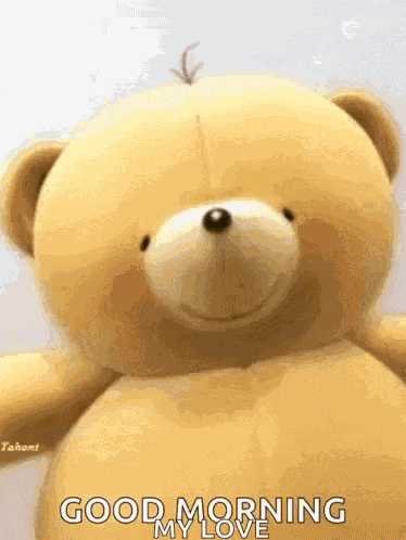 Teddy Bear Smell GIF
