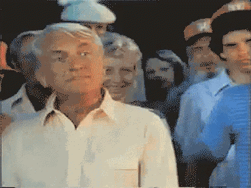 Tedknight Caddyshack GIF