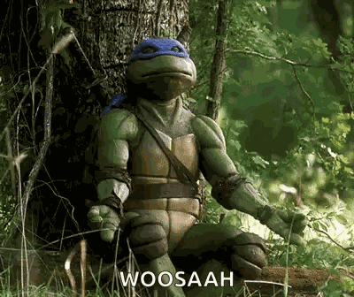 Teenage Mutant Ninja Turtles Leonardo GIF