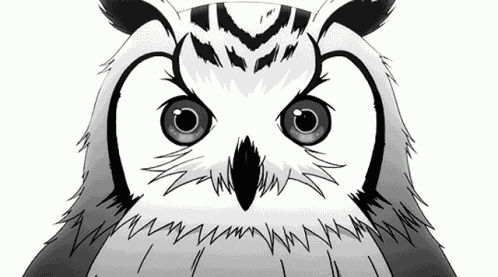 Tegbwowl Tegowl GIF