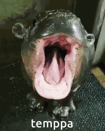 Temppa Cute GIF