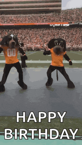 Tennessee Volunteers Smokey GIF