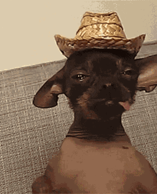 Tequila Drunk GIF