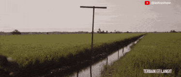 Terbaik Dari Langit Nova GIF