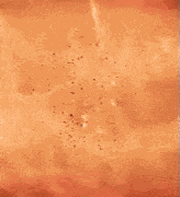 Terminator T-800 GIF