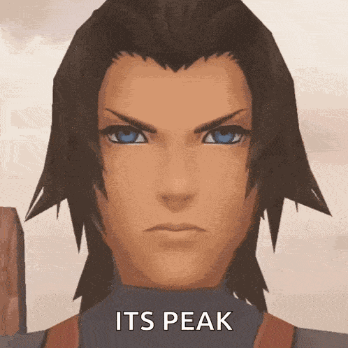Terra Terra Kingdom Hearts GIF