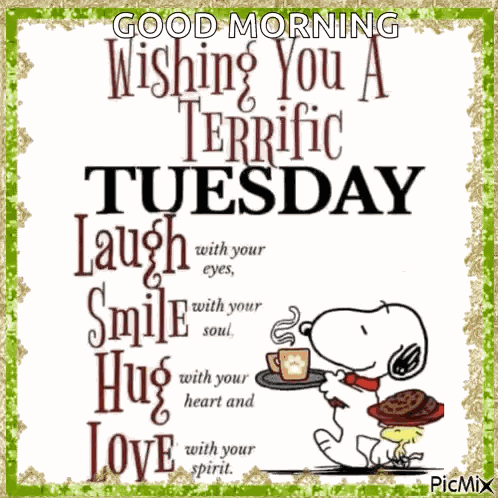 Terrific Tuesday GIF