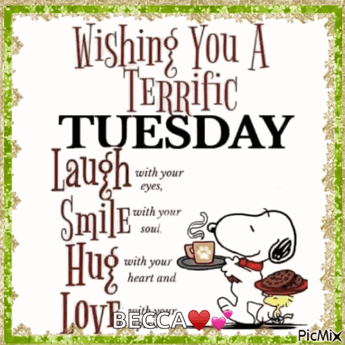 Terrific Tuesday GIF