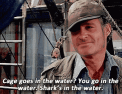 Terry Schappert Quint Terry Schappert Jaws GIF