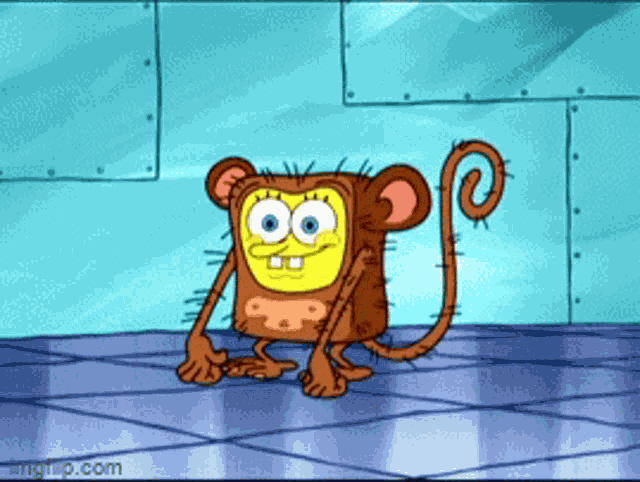 Test Monkey GIF