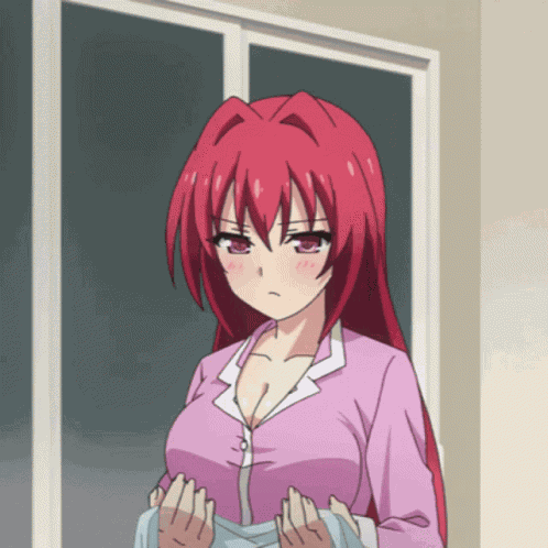 Testament Of Sister New Devil Anime GIF