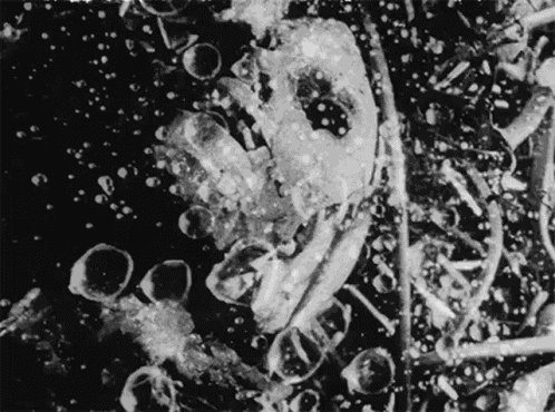 Tetsuo The Iron Man Body Horror GIF