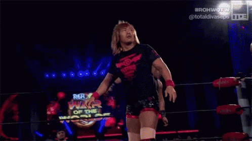 Tetsuya Naito Tranquilo GIF