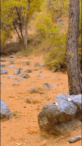 Tf2 Tf2 Memes GIF