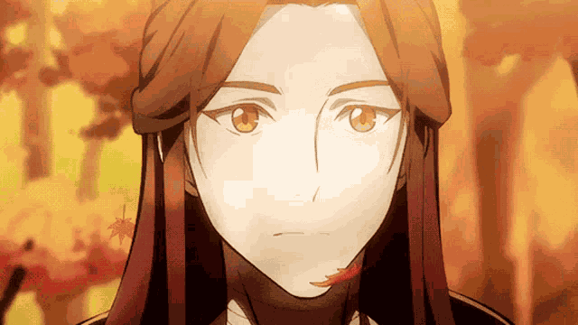 Tgcf Heaven Officials Blessing GIF