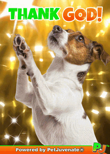 Thank God Thank You God GIF
