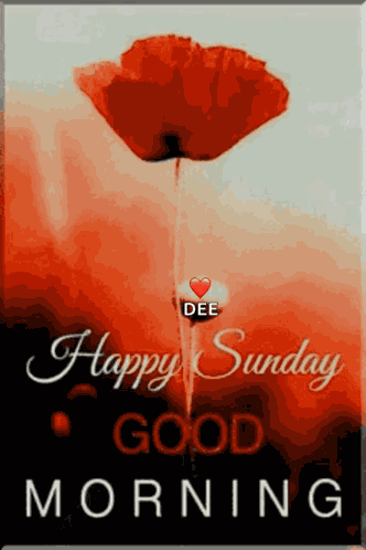 Thank You GIF