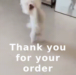 Thank You For Your Order GIF