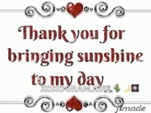 Thank You Thank You For Bringing Sunshine To My Day GIF