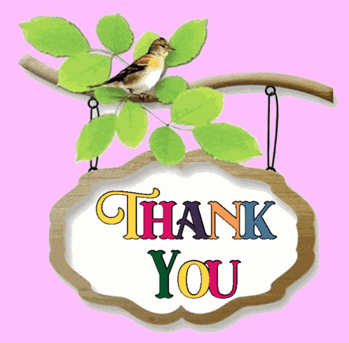 Thank You Thank You So Much GIF