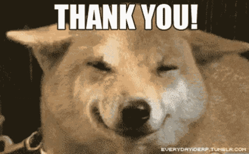 Thank You Thanks GIF