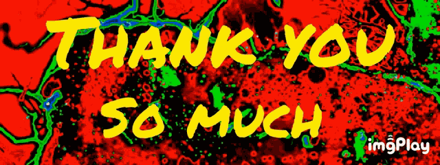 Thank You Thanks GIF