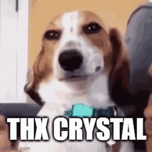 Thank You Thx GIF