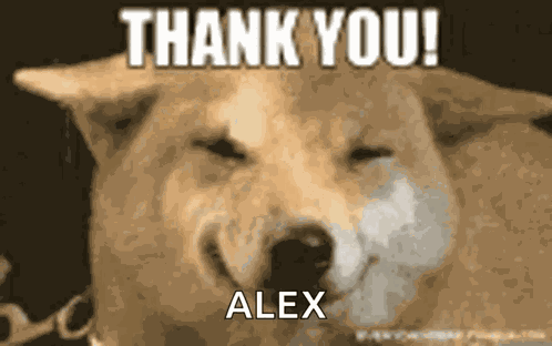 Thank You GIF