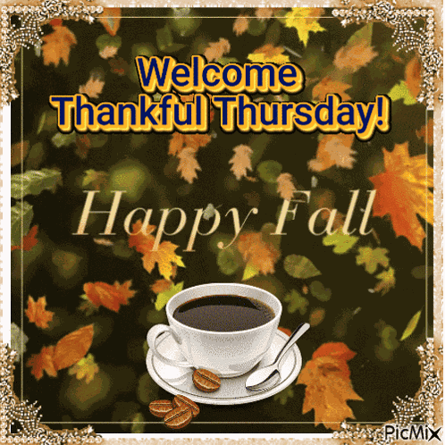 Thankful Thursday GIF