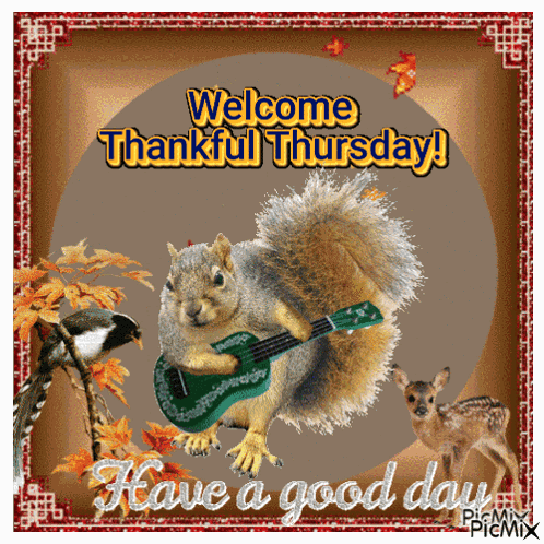 Thankful Thursday GIF