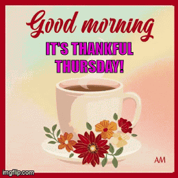 Thankful Thursday GIF