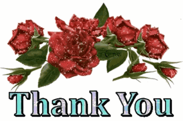 Thanks Thank You GIF