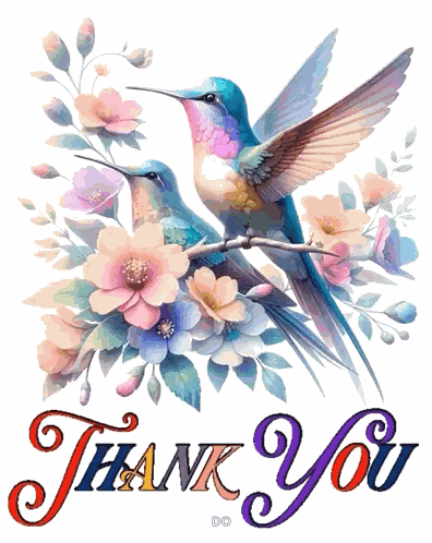 Thanks You Gif Thank You GIF
