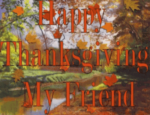 Thanksgiving Happy Thankgiving GIF
