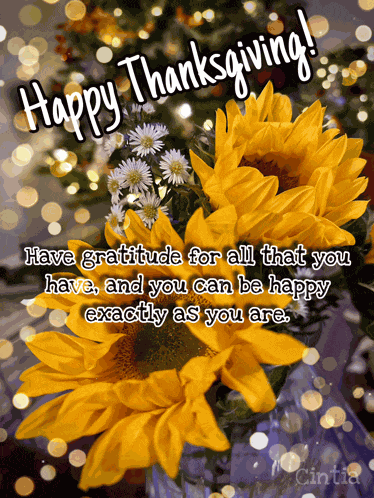 Thanksgiving Happy Thanksgiving Meme