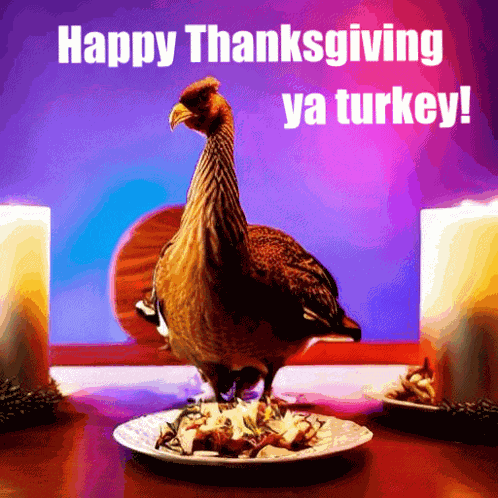 Thanksgiving Happy Thanksgiving GIF