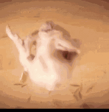 Thanksgiving Party GIF