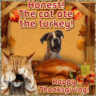Thanksgiving Thanksgiving Funny GIF