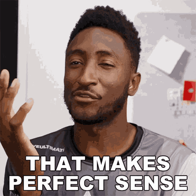That Makes Perfect Sense Marques Brownlee GIF