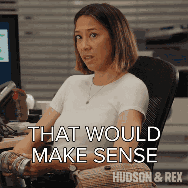 That Would Make Sense Sarah Truong GIF