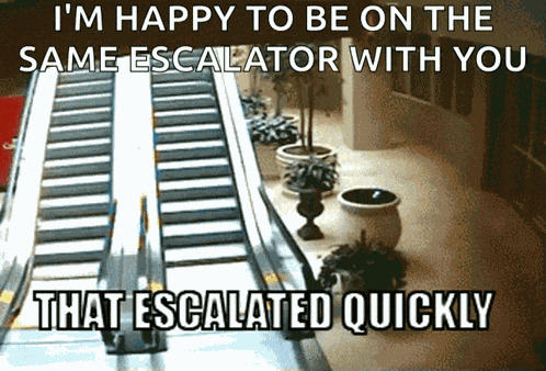 Thatescalatedquickly Escalator GIF