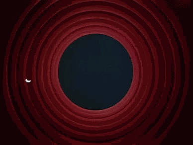 Thats All Folks Cartoons GIF